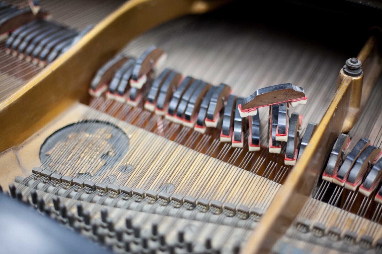 Siris Grand Pianos