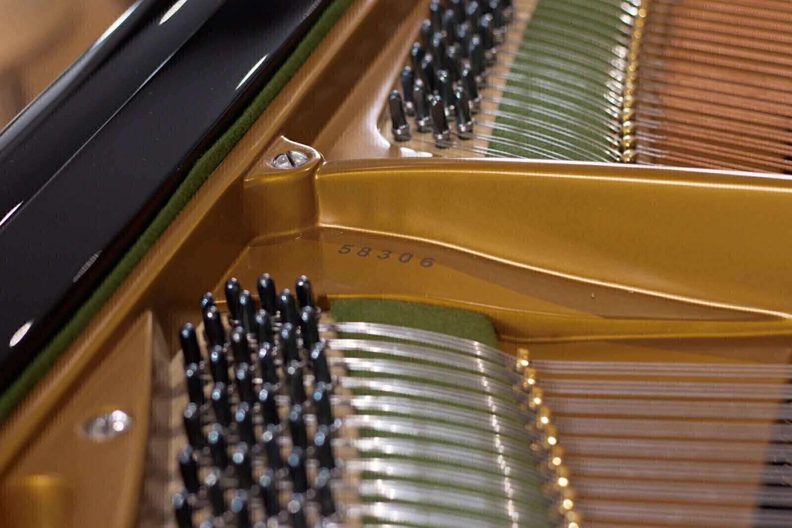 Bechstein Grand Piano 1901 - For Sale