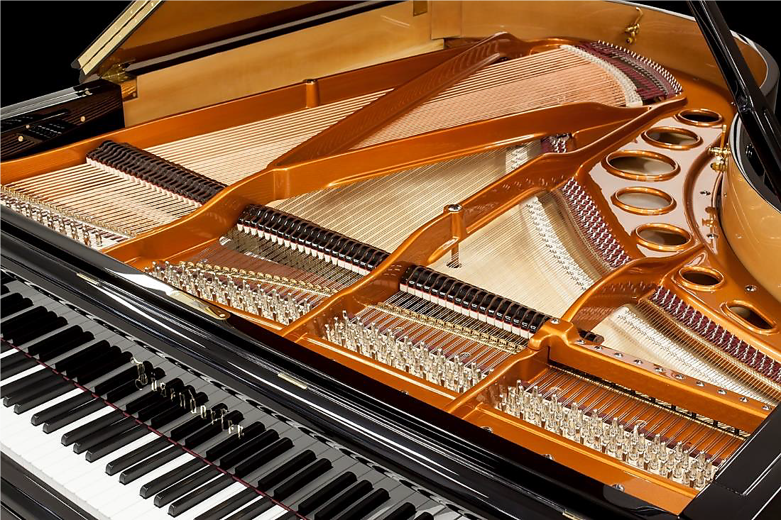 Bösendorfer Grand Piano 1906 - For Sale