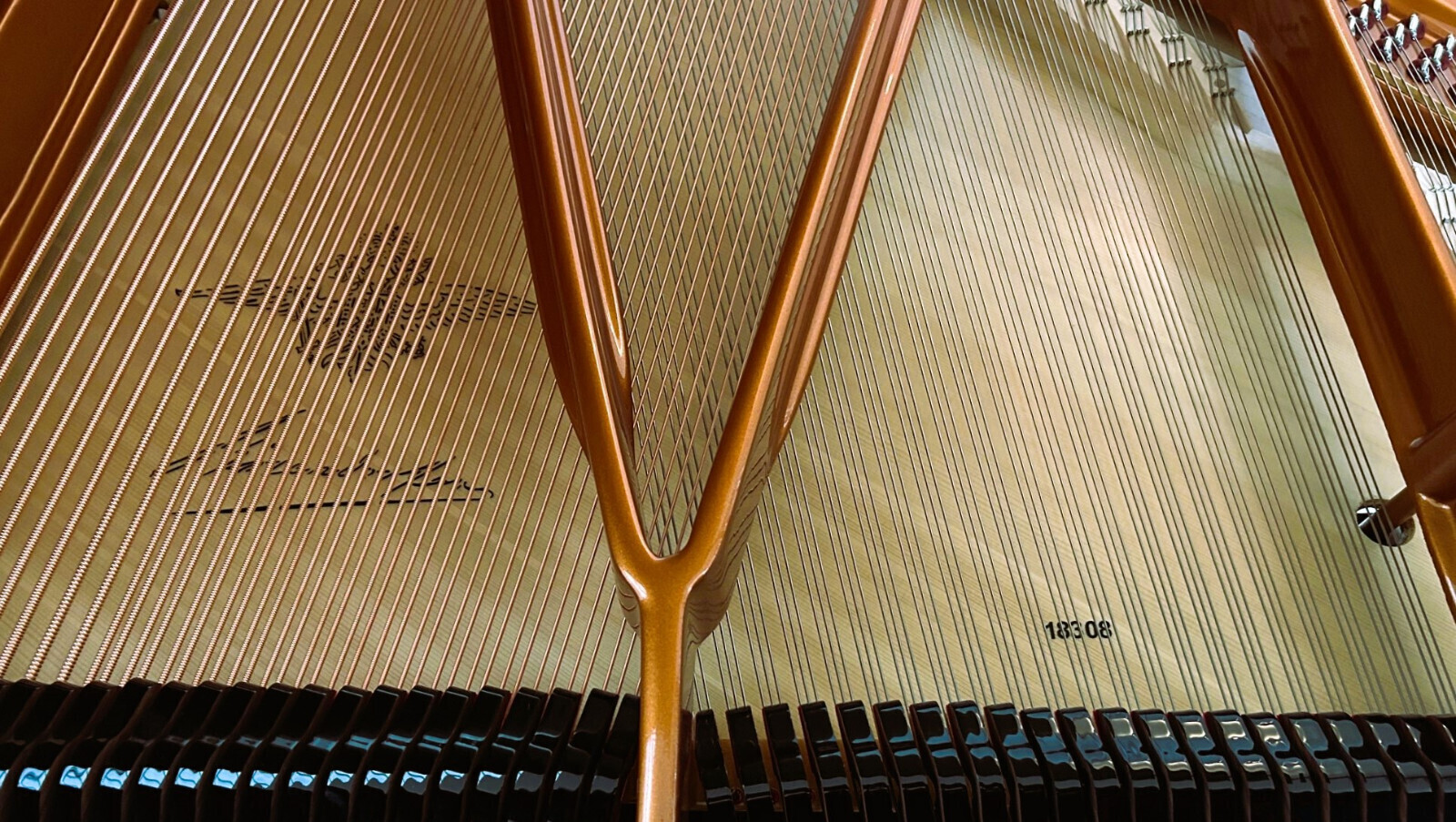 Bösendorfer Grand Piano 1906 - For Sale