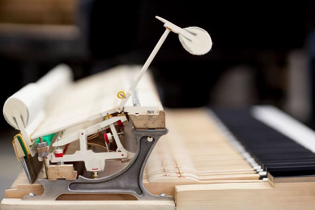 Bösendorfer Grand Piano 1906 - For Sale